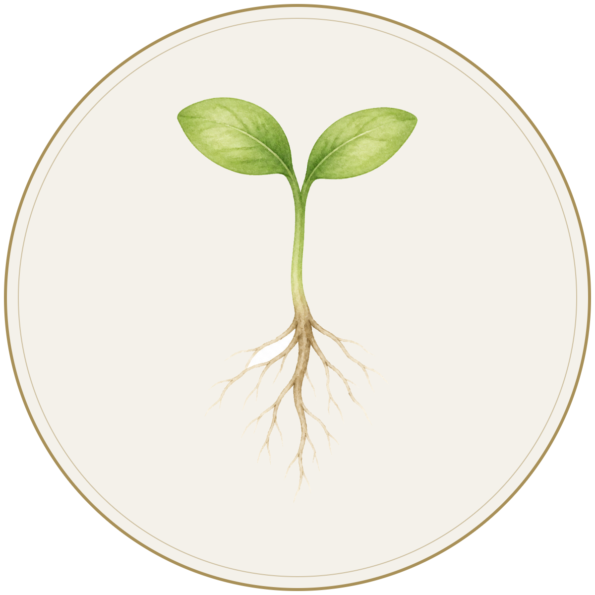 medallion5 sprout